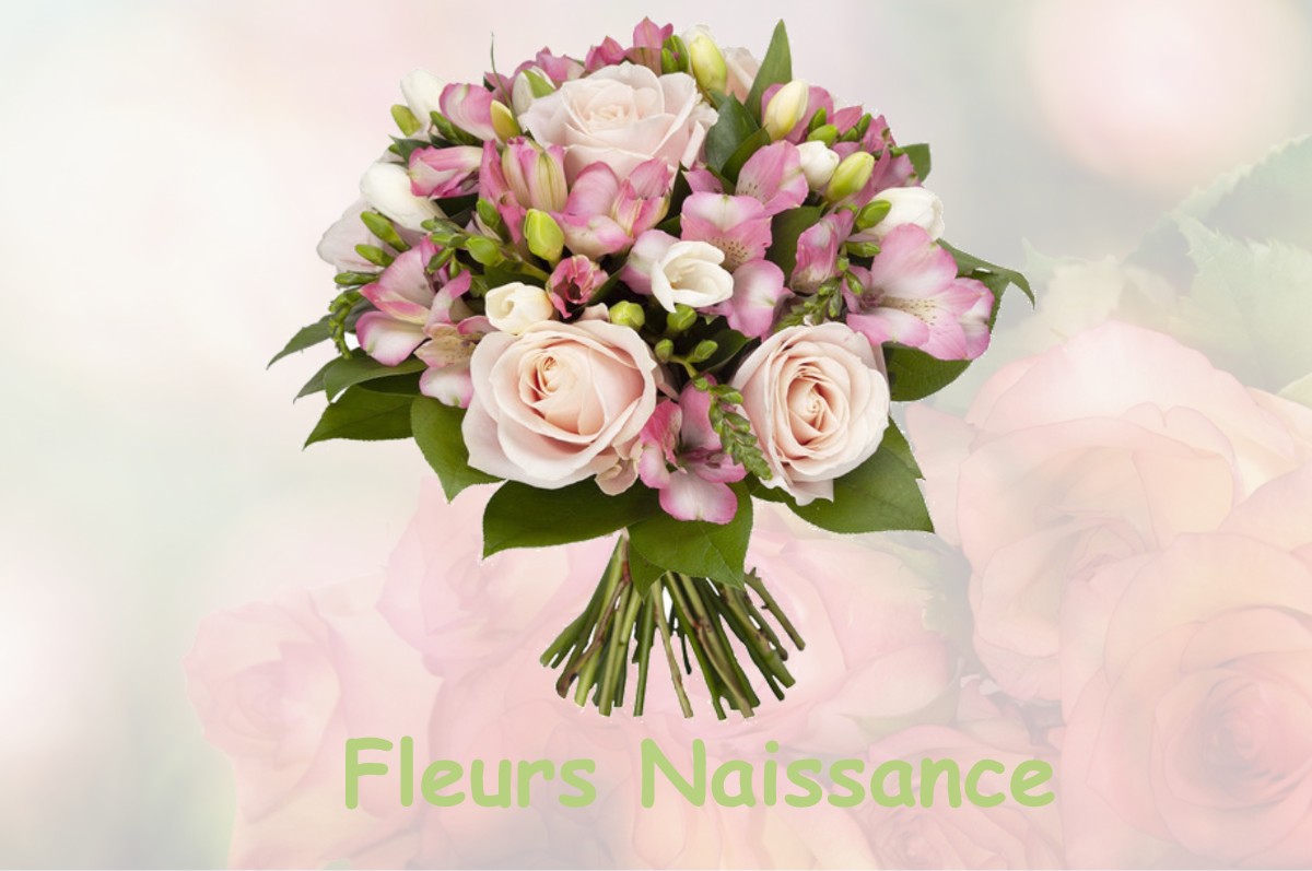 fleurs naissance NOISY-RUDIGNON