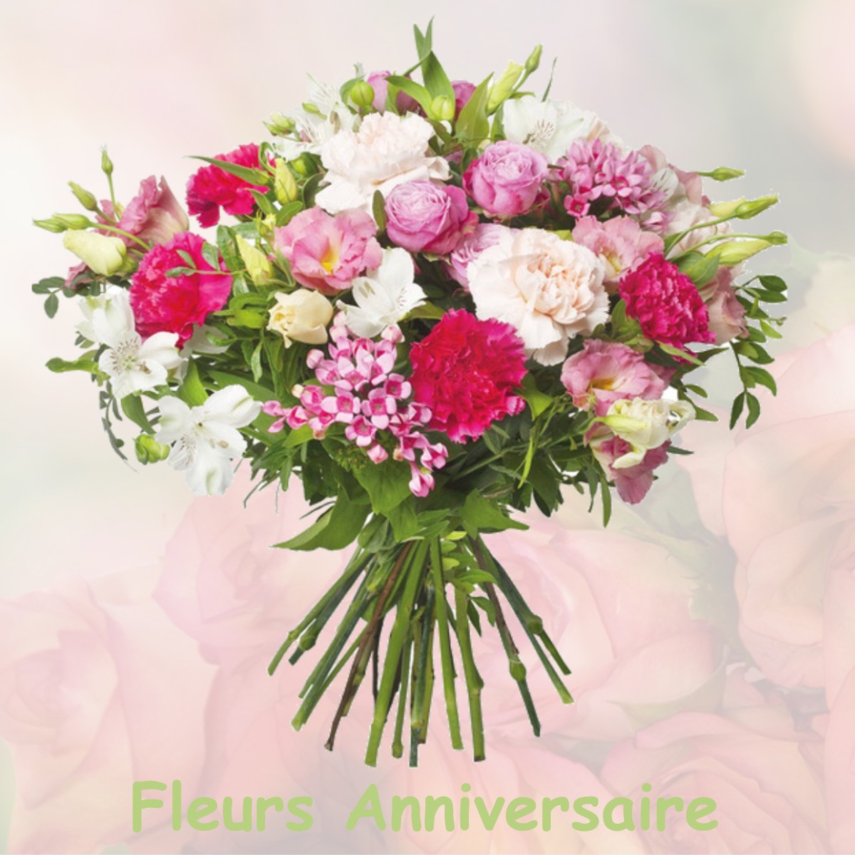 fleurs anniversaire NOISY-RUDIGNON